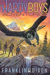 As the Falcon Flies (Hardy Boys Adventures Book 24)