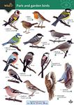 Park and Garden Birds (WildID)