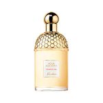 Aqua Allegoria Pamplelune By Guerlain Eau De Toilette Spray 4.2 Oz