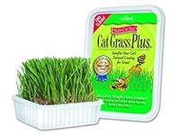 Miracle Care Cat-A'bout Cat Grass F