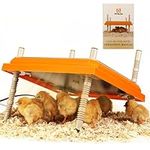Brooder Heater for Chicks: Chick Br