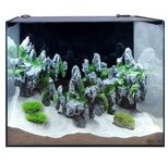 Aqua One AquaLume 67 Glass Aquarium Tank 67L – Frameless Fish Tank with LED Lighting & IFXE 100 Internal Filter, 50 x 32 x 42cm