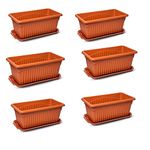 Green Live® Plastic Rectangular Planter with Tray Pot – Brown (35x18x14cm) – Pack of 6, Durable Indoor/Outdoor Flower Box for Garden, Balcony, and Home Décor