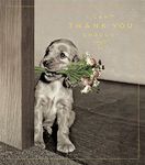 Greeting Card (PIG4208) - Thank You - Can't Thank You Enough - Puppy with Flowers - Love Unlimited Range - Foil Finish