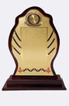 Wooden Sheild Trophy Momento 10 Inches or 25.5 Centimeters