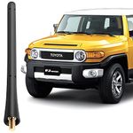 Radio Antenna Compatible with 2000 2001 2002 2003 2004 2005 2006 2007 2008 2009 2010 2011 2012 2013 2014 2015 2016 2017 2018 2019 Toyota Tundra Tacoma Mini Cooper