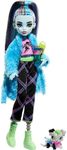 Monster High Doll and Sleepover Acc