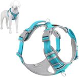 Plutus Pet No Pull Dog Harness, Release at Neck, Reflective Adjustable Dog Vest Harness, Easy Control Handle for Walking, for Small Medium Large Dogs, Cyan, XL