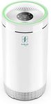 SmileAir Air Purifiers Home Large Room 500sqft w/ H13 True HEPA & Activated Carbon Filter, Auto/Silent Sleep Mode 5-Speed Fan Air Cleaner for Allergies, Smoke, Pet, Dust, Mold, Pollen