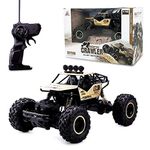 1 16 Scale Rc