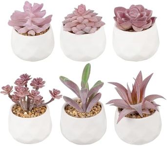 Artigreen 6 Pack Artificial Succulents in Pots,Assorted Decorative Small Fake Plants Potted,Mini Bonsai Tree Pink Decor for Table,Bathrooms,Office,Home Decor