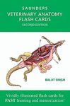 Veterinary Anatomy Flash Cards