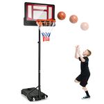 Pro Basketball Goals