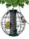 Backyard Essentials Orb Caged Seed Feeder for Wild Birds, Petite Orb Cage Seed Feeder for Outdoors