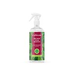 ethicane - Eco-friendly Red Wine Stain Remover 500ml | Powerful Plant based, non toxic formula, Clear