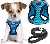 YIMEIS Dog Harness and Leash Set, N