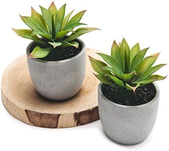 Kurrajong Farmhouse Artificial Plants Indoor | Set of 2 Fake Plants for Desk Decor | Artificial Succulents in pots | Fake Succulents| Faux Plants Indoor | Faux Agave Succulents for Shelf Decor