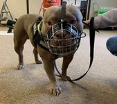 Strong Metal Wire Basket Dog Muzzle for American Bully (B3, Black leather/Silver)