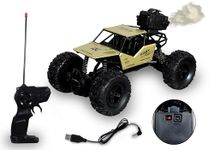 TEC TAVAKKAL Remote Control Rock Crawler Mist Smoke Spray Function, High Speed 1:18 RC Car Toys for Boys 2WD Off Road Vehicle Toy Cars for Kids Monster Truck Rock Climbing Car Toy for Kids (Gold)