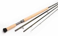 Sage Sonic Double Handed & Switch F