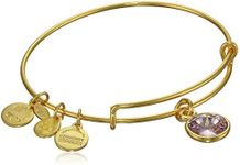 Alex and Ani Bangle Bar Imitation Birthstone Bangle Bracelet, 2.75", 2.75 Inch, Metal, na