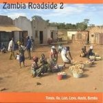 Zambia Roadside 2
