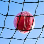 Cricket Netting – 50 Net Only | Backstop/Ball Stop/Surround/Sports Nets (14 x 14)