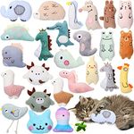 25 Pcs Catnip Toys Cat Chew Toy Interactive Catnip Filled Kitten Toys Soft Cotton Cat Toys for Indoor Cats Kitten, Assorted Cat Teething Chew Toys Pet Supplies