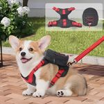 Dog Backpack Harness for Small to Medium Dogs, Adjustable and Lightweight Pet Carrier with Built-In Poop Bag Dispenser, Water-Resistant and Secure for Hiking, Travel, Puppy Training, Or Daily Walks, L