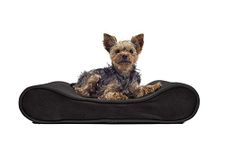 FurHaven Pet Dog Bed - Orthopedic Micro Velvet Ergonomic Luxe Lounger Cradle Mattress Contour Pet Bed w/ Removable Cover for Dogs & Cats, Espresso, Small, (Contour) Microvelvet Espresso, 1. Small (31239391)