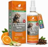 Dog Pee Urine Repellent Spray Indoor | Stop Dog Urinating In House At Night | Cat Urine Deterrent Spray | Pet Odour Eliminator For House | Urine Destroyer Dog and Cat Spray 250ml
