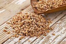 Barley HULLED- 22lb