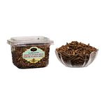 AAFARIN PREMIUM AFGHAN FRESH PINE NUTS WITH SHELL ( CHILGOZA / CHIGOJE MAGAZ / NEZE ) (1000 GRM)