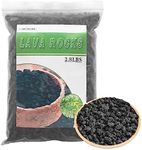 CARURBODY Black Lava Rocks for Plants -100% Pure Volcanic Rock No Dyes or Chemicals-Best Lava Stones Top Dressing for Cacti Succulents Plants,Bonsai