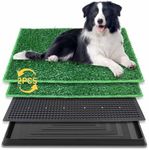 BRIAN & DANY Dog Toilet Puppy Pee T