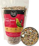 The Birds Company Premium Seed Blend of 9 Grains & Nuts, Bird Feeder Food Refill, Mix Seeds for Outside Wild Birds, Indian Parrot, Sparrow, Doves, 450 g