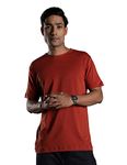 DAMENSCH Men's Regular Fit Tees (Dam-TEES-MAR-M_Rusty Red_M)