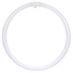 Sunlite 41315-SU FC12T9/CW Circline Fluorescent Lamps, 12-Inch Size, 32 Watts, 2100 Lumens, 4-Pin Base (G10q), 10,000 Life Hours, 1 Count (Pack of 1), 4100K Cool White