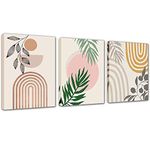 Abstract Framed Boho Wall Decor - 3 Pieces Green and Grey Plant Canvas Wall Art Sun and Moon Nature Floral Pictures Artwork Decoration for Bedroon Bathroom Living Room Kitchen 12x16inch Ready to Hang