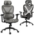 GABRYLLY Ergonomic Office Chair, Bi