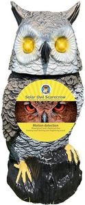 Owlery Sol