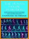 The Human Figure in Motion