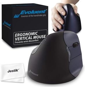 Jestik Evo