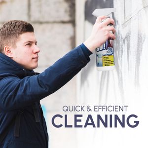 Home Strip Graffiti Remover 500ml – Powerful Paint Cleaner
