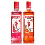 Beefeater Flavoured Gin Bundle: Beefeater Pink Gin, 70cl & Beefeater Blood Orange Gin, 70cl