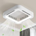 Eco Ceiling Fan