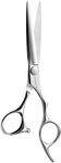 Aolanduo Prime Hairdressing Scissors with Super Convex Edge - VG10 Hair Cutting Scissors/Durable, Smooth and Fine Hair Cutting Scissors for Salon (CNC)…