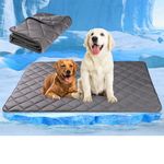 Paw Legend Dog Cooling Mat for Dogs Cat Cooling Pad for Dog Pet Cooling Mat Cooling Blanket Summer Ice Silk Washable Dog Sleeping Pad on Kennel Sofa Bed Floor Car Seats, Large