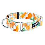 Escape Proof Dog Collar