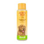 Burt's Bees Deodorizing Shampoo with Apple and Rosemary, 473ml, white